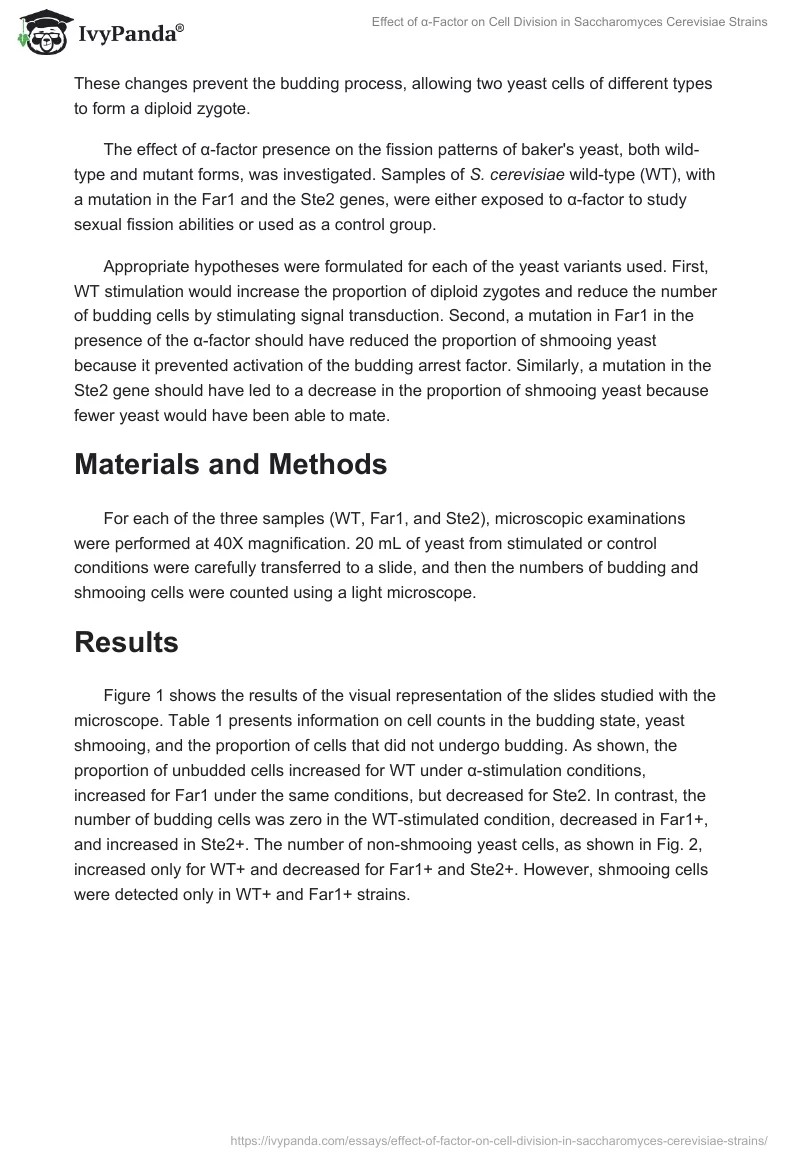 Effect of α-Factor on Cell Division in Saccharomyces Cerevisiae Strains. Page 2