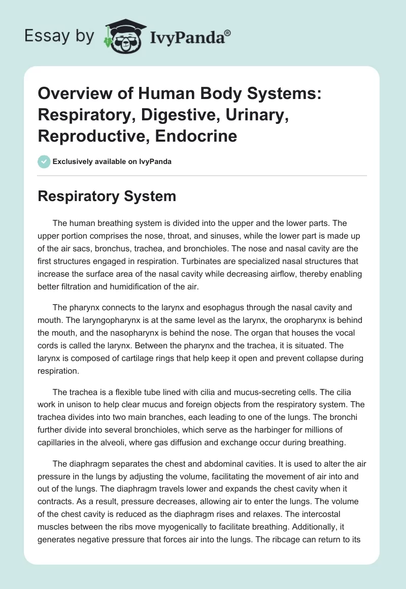 Overview of Human Body Systems: Respiratory, Digestive, Urinary, Reproductive, Endocrine. Page 1