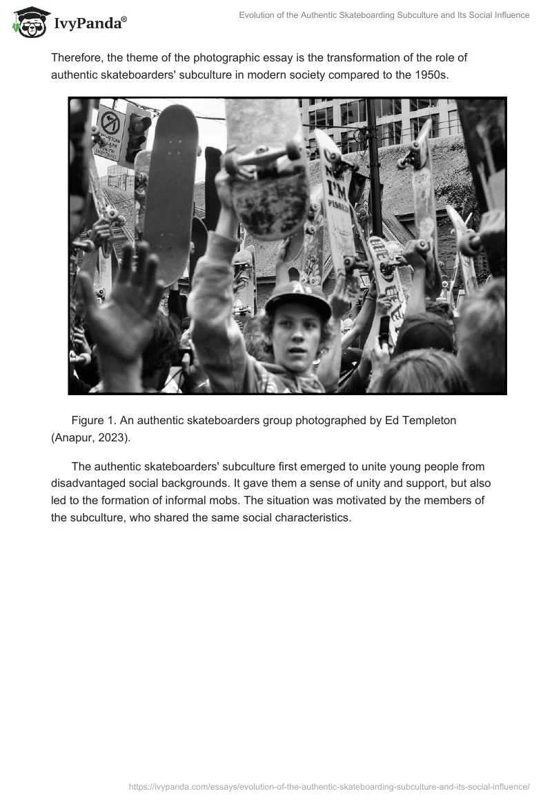 Evolution of the Authentic Skateboarding Subculture and Its Social Influence. Page 2