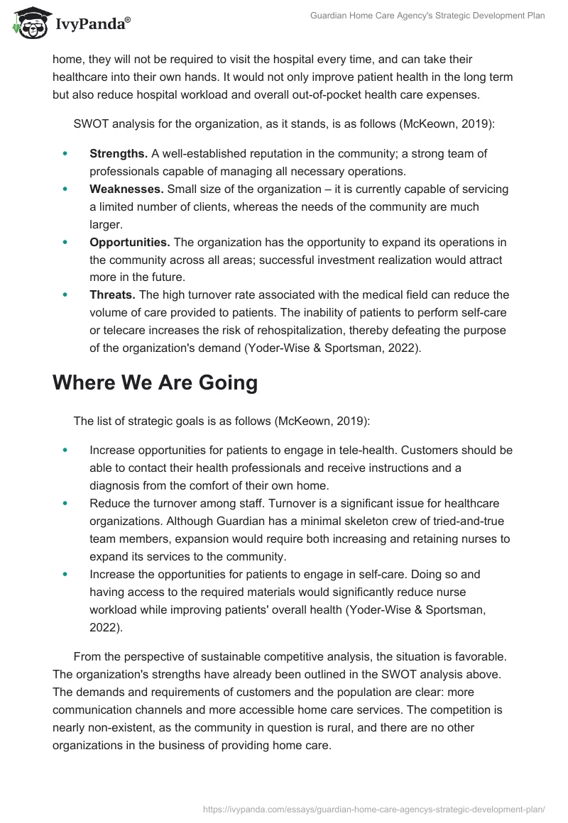 Guardian Home Care Agency's Strategic Development Plan. Page 2