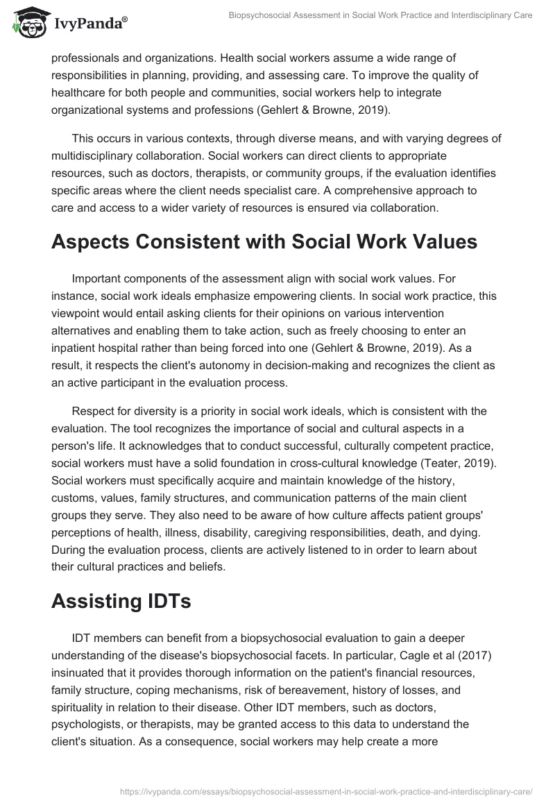 Biopsychosocial Assessment in Social Work Practice and Interdisciplinary Care. Page 2