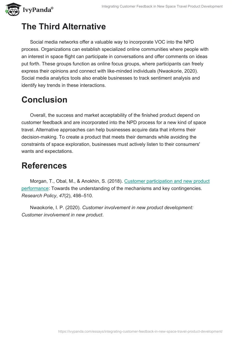 Integrating Customer Feedback in New Space Travel Product Development. Page 2