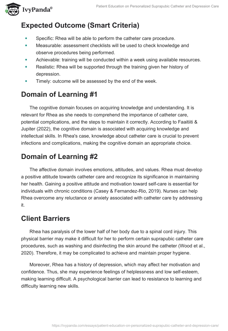 Patient Education on Personalized Suprapubic Catheter and Depression Care. Page 2