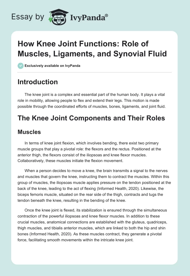 How Knee Joint Functions: Role of Muscles, Ligaments, and Synovial Fluid. Page 1
