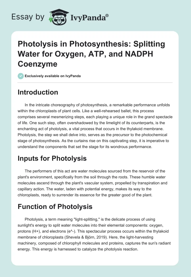 Photolysis in Photosynthesis: Splitting Water for Oxygen, ATP, and NADPH Coenzyme. Page 1