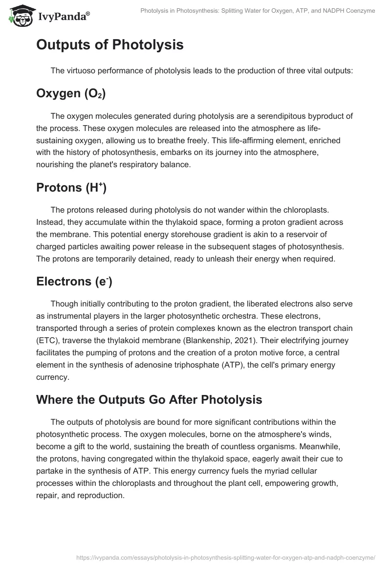 Photolysis in Photosynthesis: Splitting Water for Oxygen, ATP, and NADPH Coenzyme. Page 2
