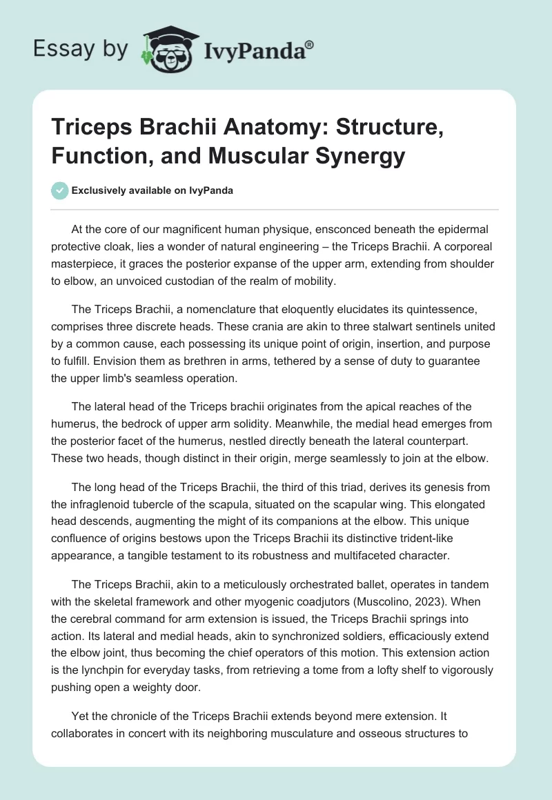 Triceps Brachii Anatomy: Structure, Function, and Muscular Synergy. Page 1