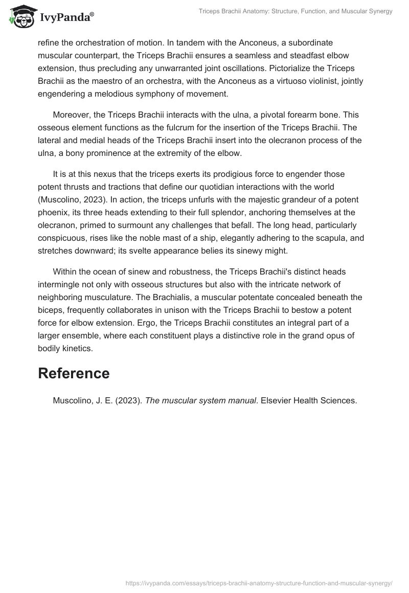 Triceps Brachii Anatomy: Structure, Function, and Muscular Synergy. Page 2