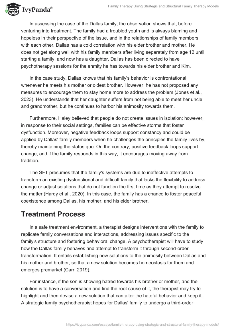 Family Therapy Using Strategic and Structural Family Therapy Models. Page 2