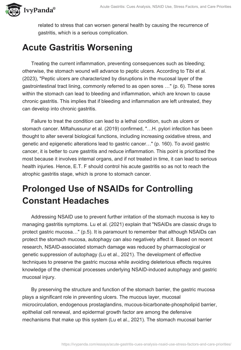 Acute Gastritis: Cues Analysis, NSAID Use, Stress Factors, and Care Priorities. Page 2
