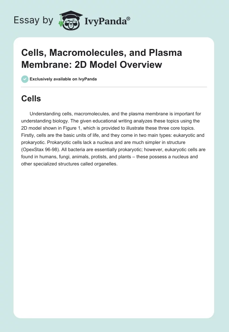 Cells, Macromolecules, and Plasma Membrane: 2D Model Overview. Page 1