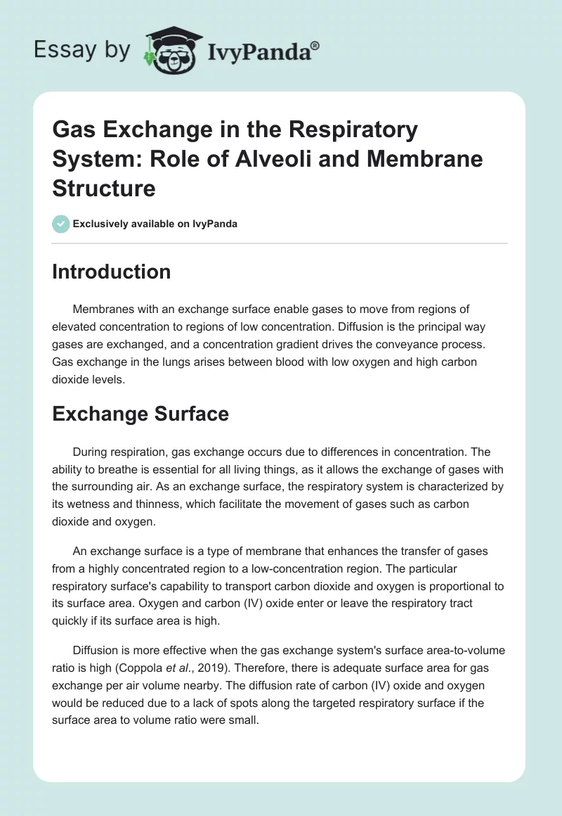 Gas Exchange in the Respiratory System: Role of Alveoli and Membrane Structure. Page 1