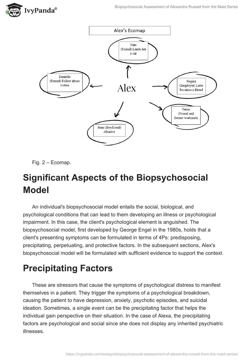 Biopsychosocial Assessment of Alexandra Russell from the Maid Series. Page 2