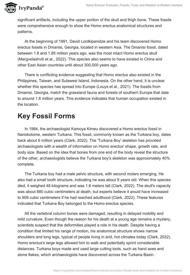 Homo Erectus' Evolution, Fossils, Tools, and Relation to Modern Humans. Page 2
