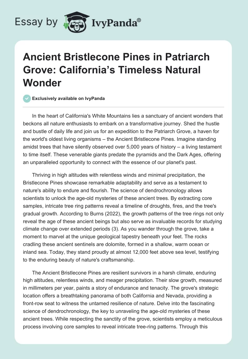 Ancient Bristlecone Pines in Patriarch Grove: California’s Timeless Natural Wonder. Page 1