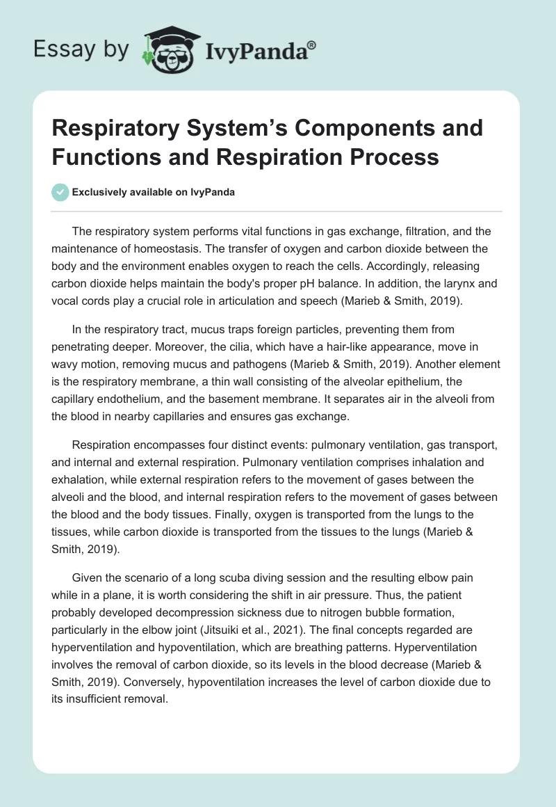 Respiratory System’s Components and Functions and Respiration Process. Page 1