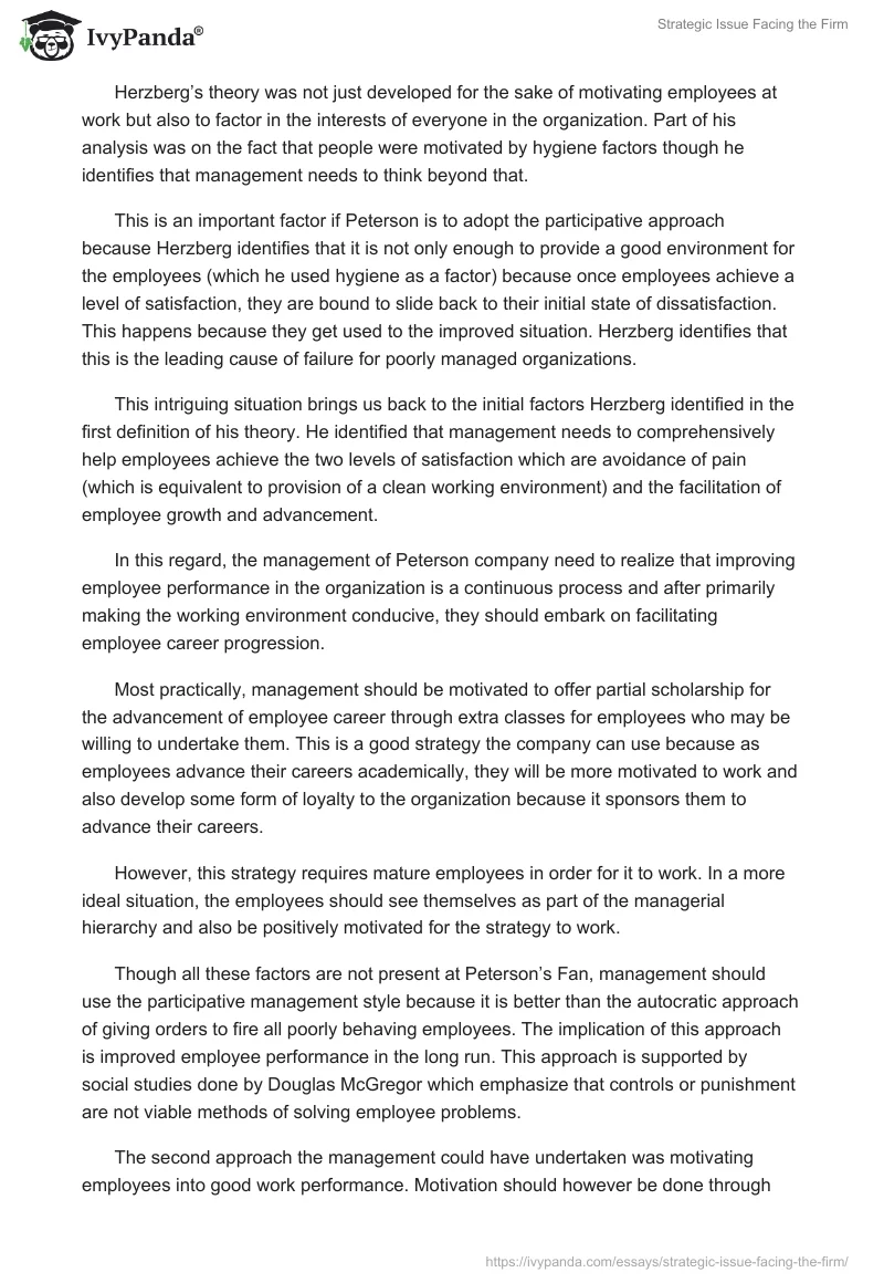 Strategic Issue Facing the Firm. Page 3
