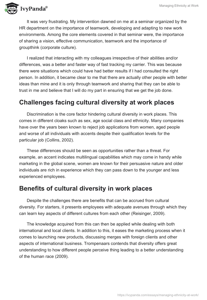 Managing Ethnicity at Work. Page 3