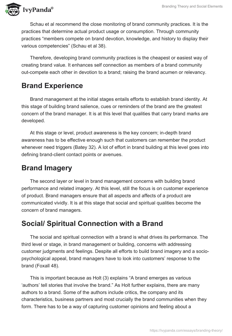 Branding Theory and Social Elements. Page 3