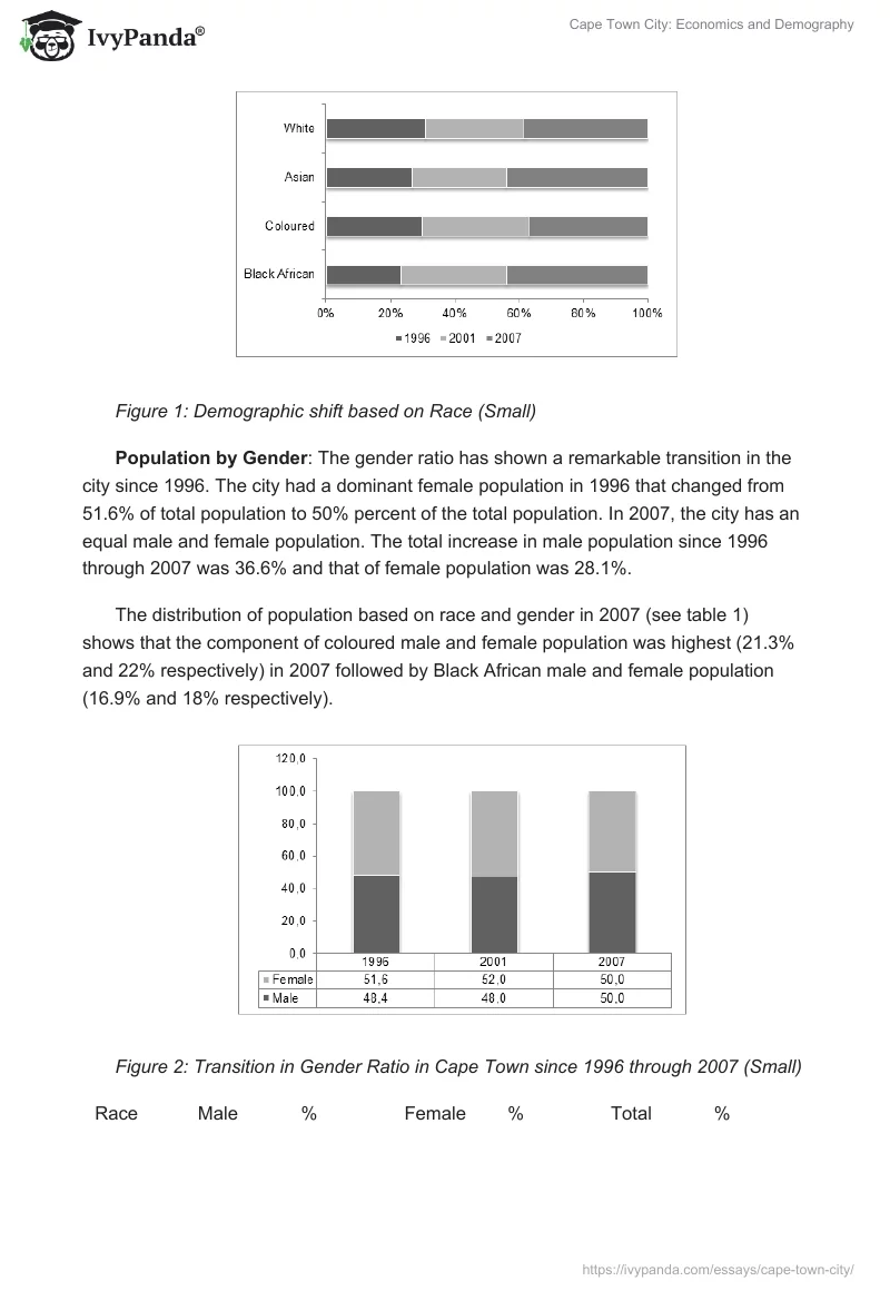 Cape Town City: Economics and Demography. Page 3