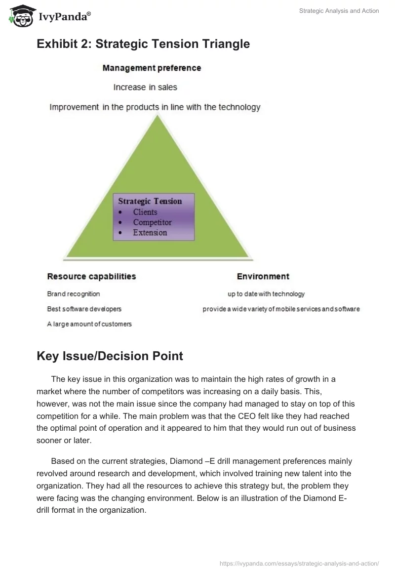 Strategic Analysis and Action. Page 3