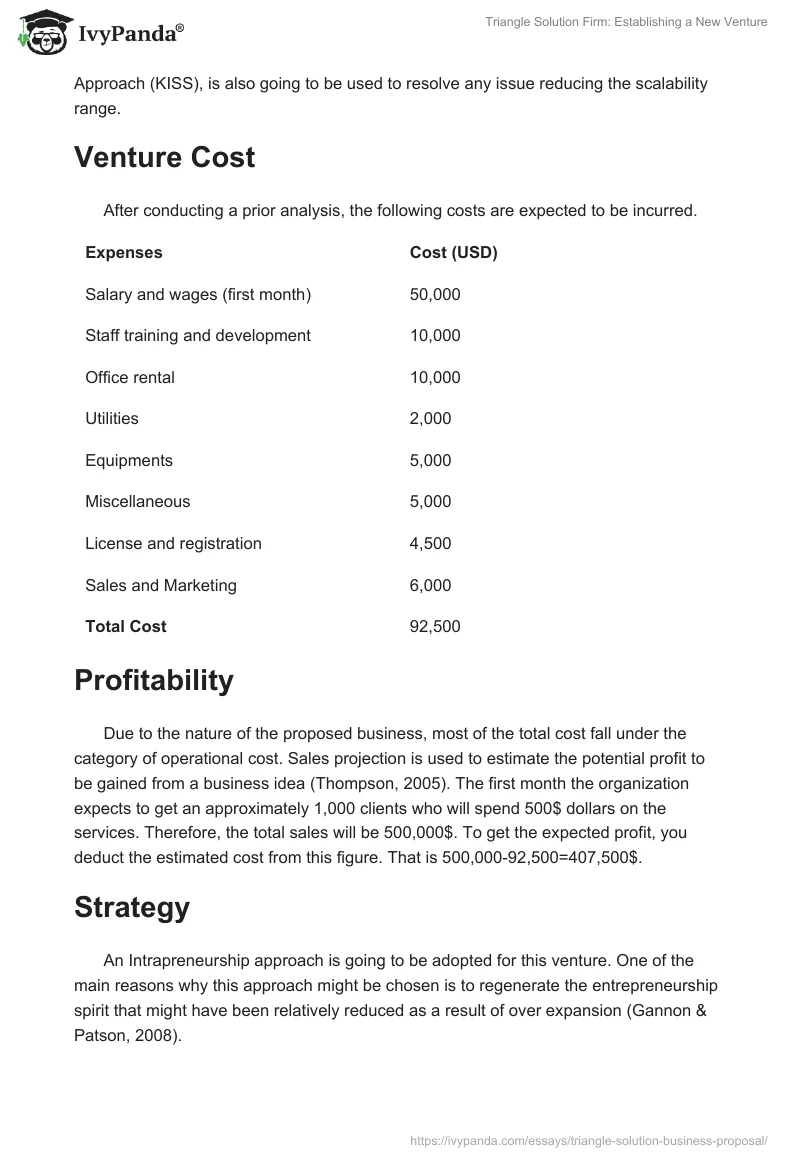 Triangle Solution Firm: Establishing a New Venture. Page 4