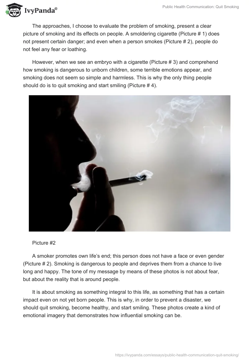 Public Health Communication: Quit Smoking. Page 2