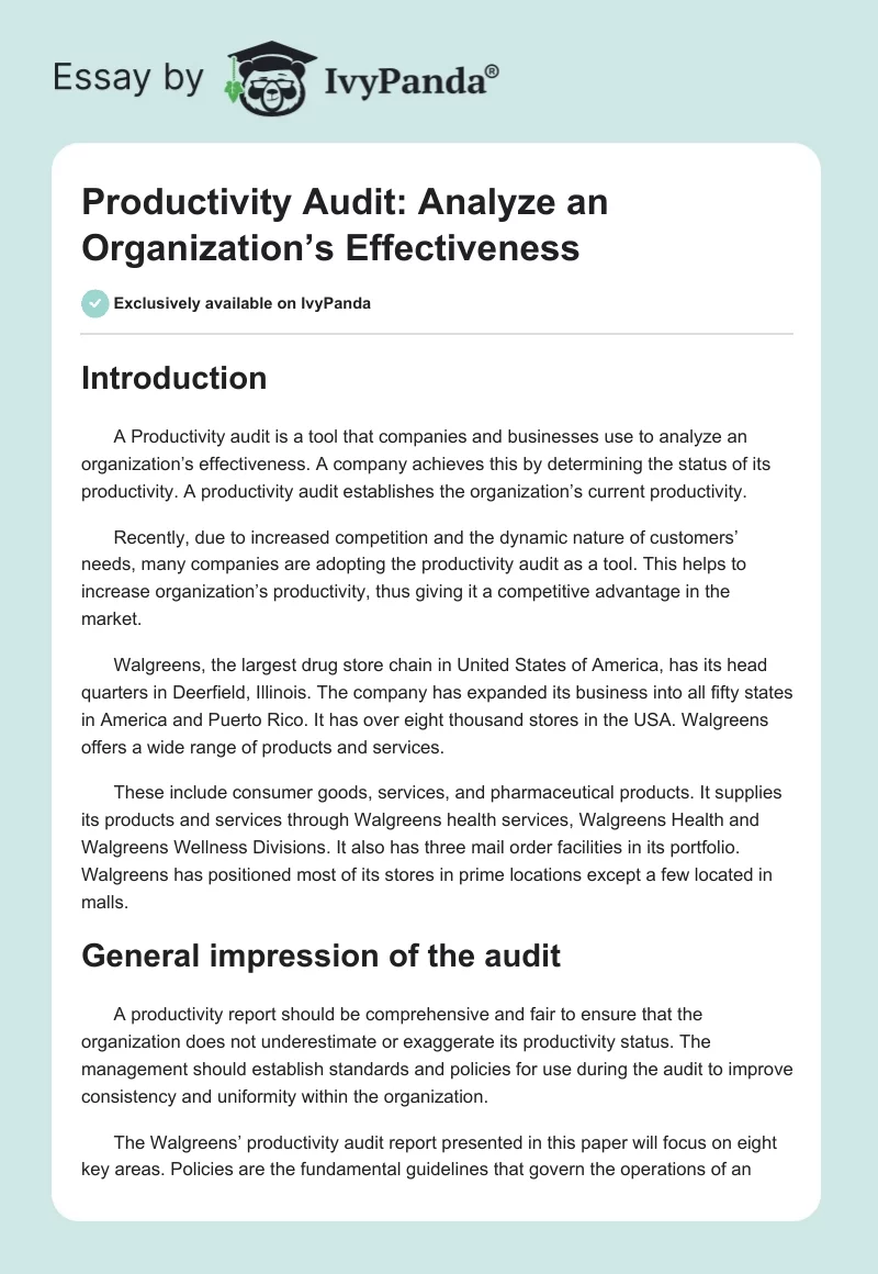 Productivity Audit: Analyze an Organization’s Effectiveness. Page 1