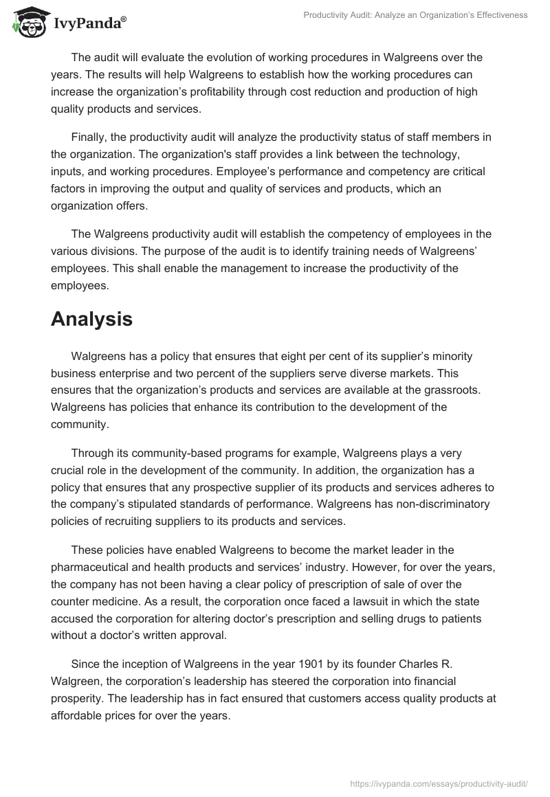 Productivity Audit: Analyze an Organization’s Effectiveness. Page 3