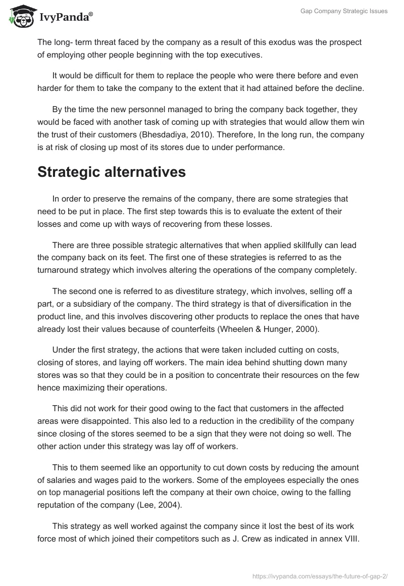 Gap Company Strategic Issues. Page 3