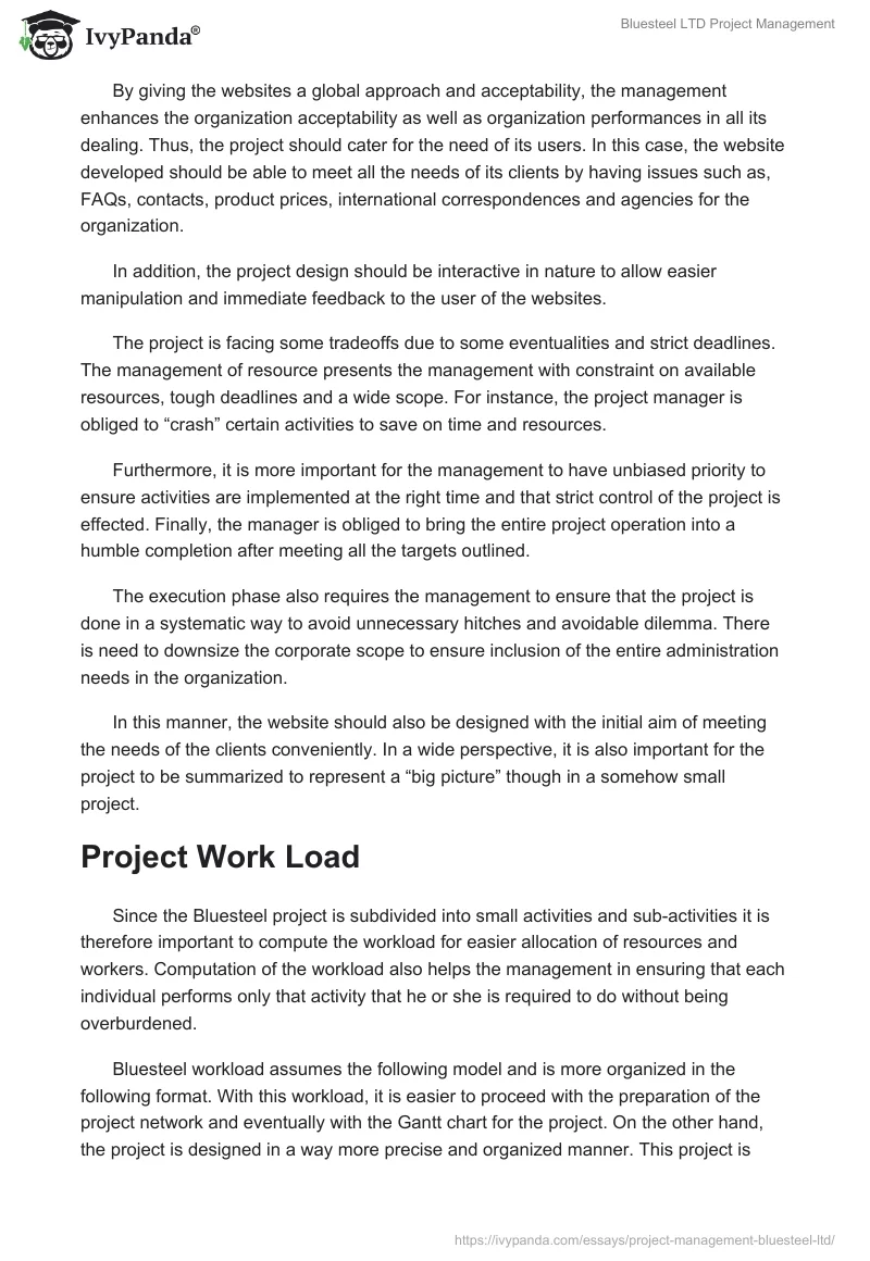 Bluesteel LTD Project Management. Page 3