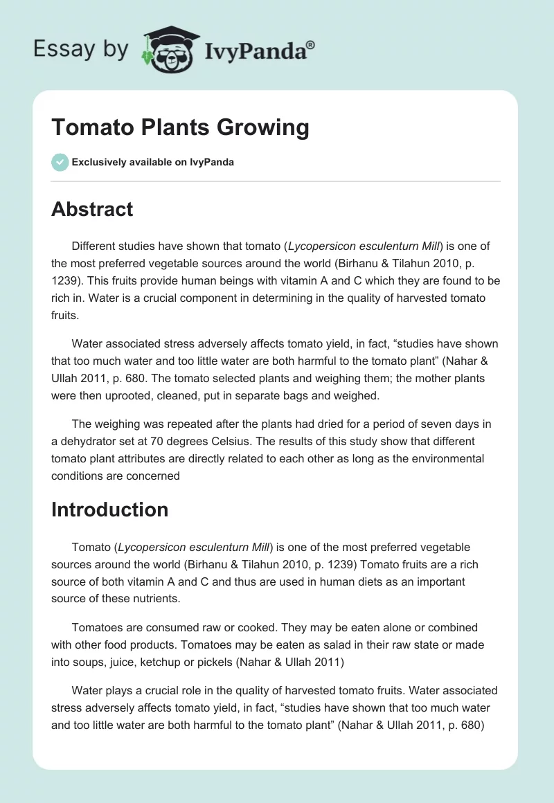 Tomato Plants Growing. Page 1