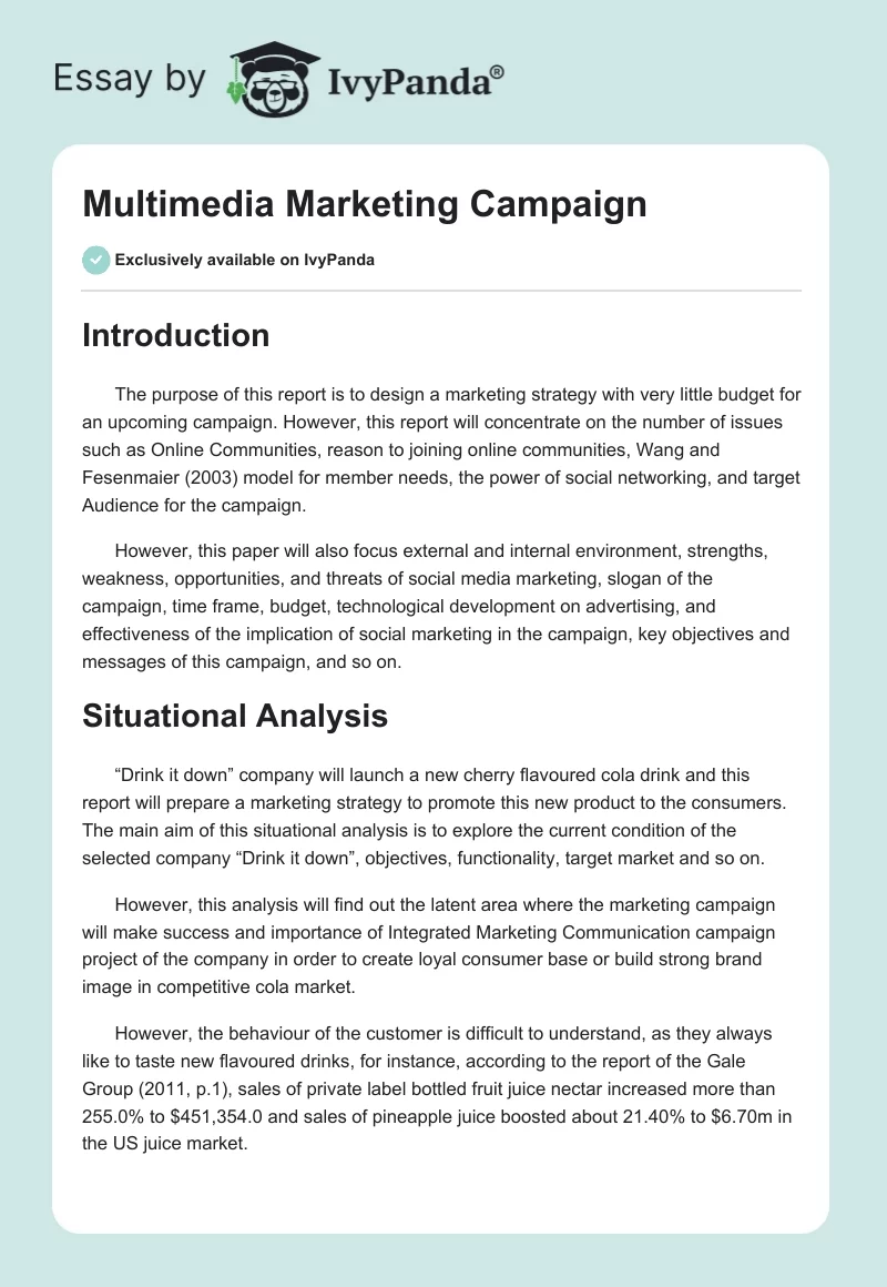 Multimedia Marketing Campaign. Page 1