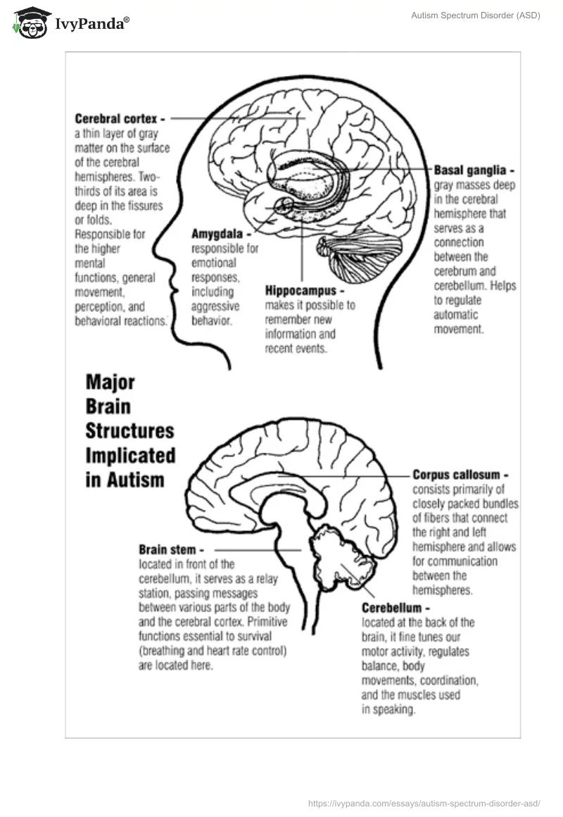Autism Spectrum Disorder (ASD). Page 4
