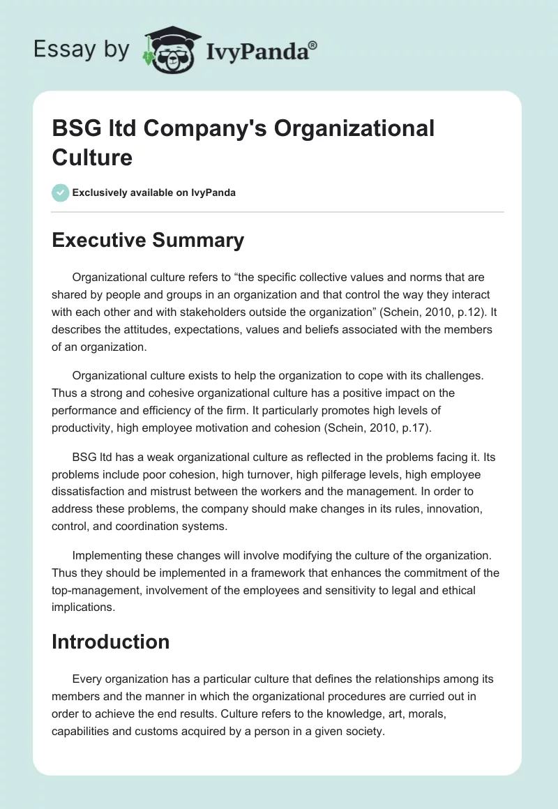 BSG ltd Company's Organizational Culture. Page 1