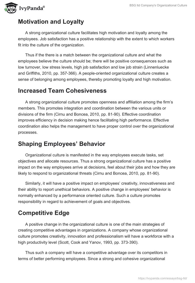 BSG ltd Company's Organizational Culture. Page 3
