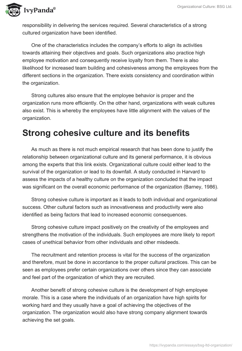Organizational Culture: BSG Ltd.. Page 3