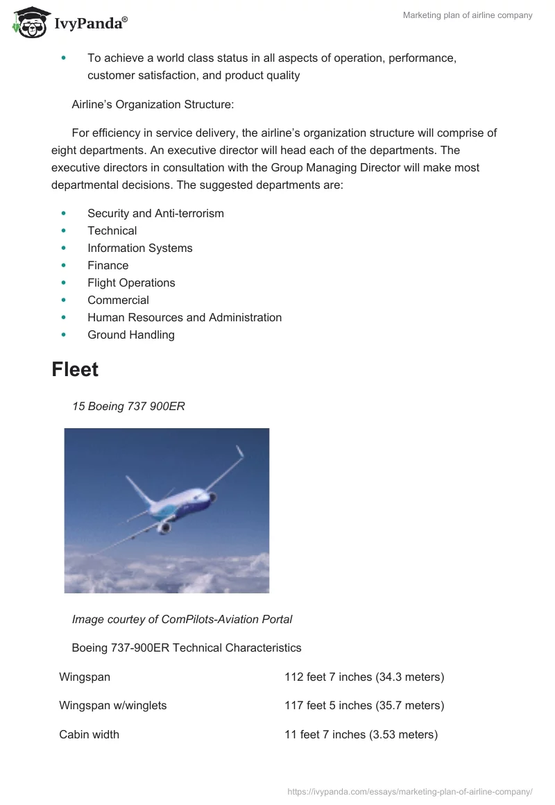 Marketing Plan of Airline Company. Page 2