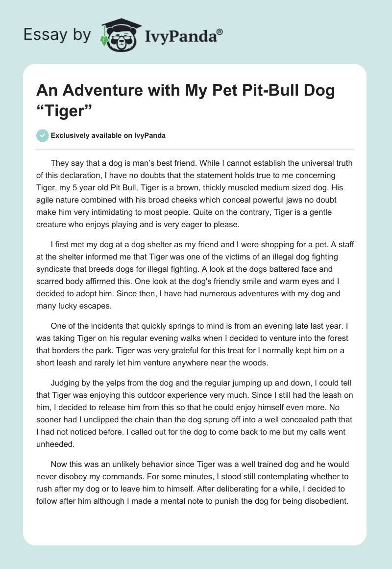 An Adventure with My Pet Pit-Bull Dog “Tiger”. Page 1