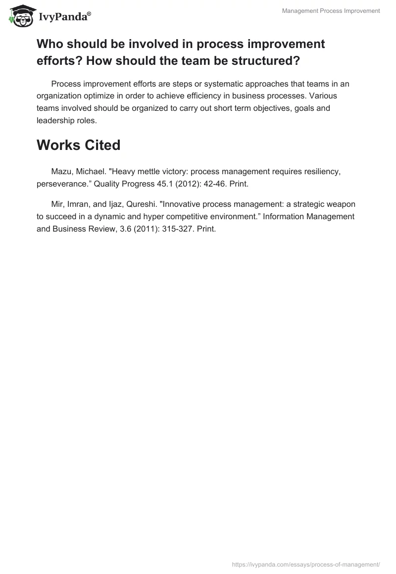 Management Process Improvement. Page 3