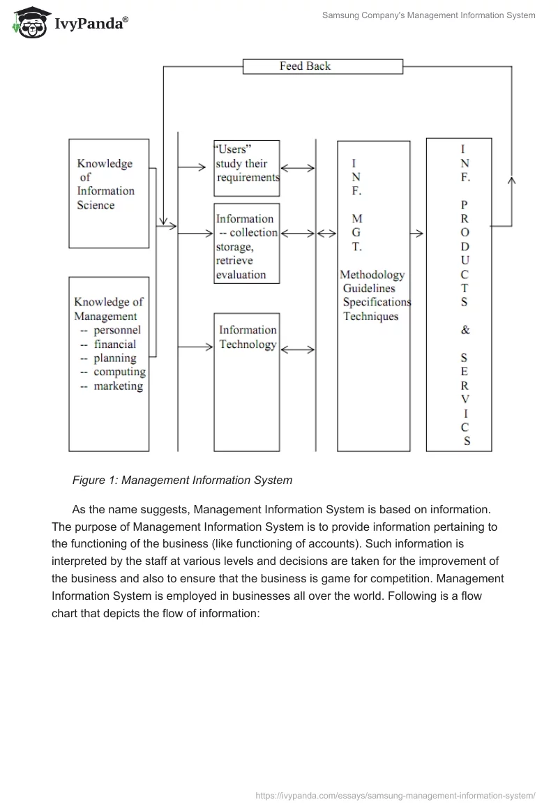 Samsung Company's Management Information System. Page 4