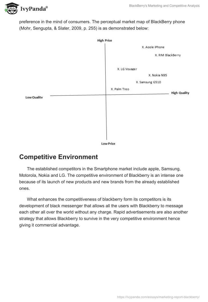 BlackBerry's Marketing and Competitive Analysis. Page 5