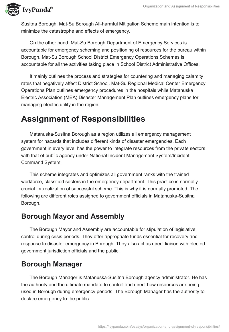 Organization and Assignment of Responsibilities. Page 3