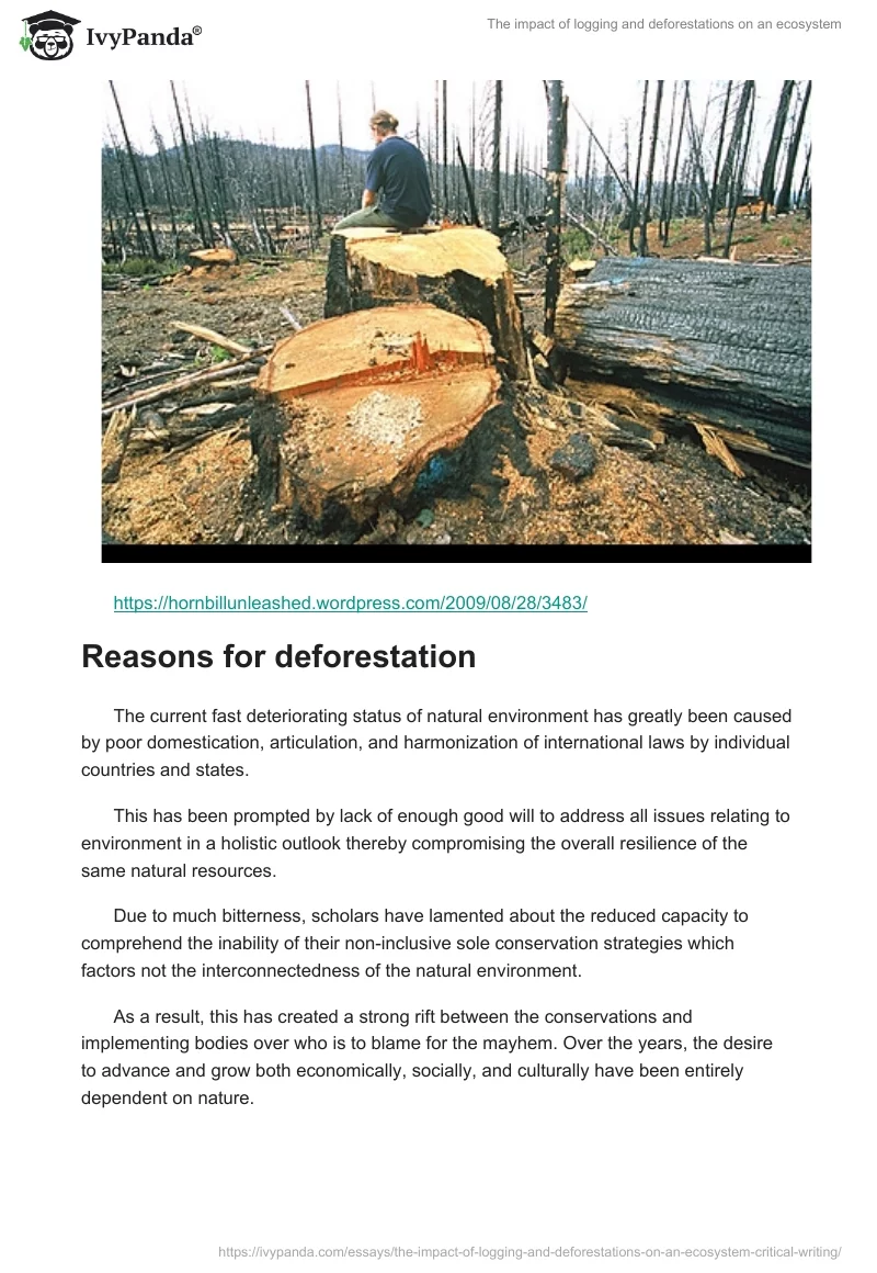 The Impact of Logging and Deforestations on an Ecosystem. Page 3