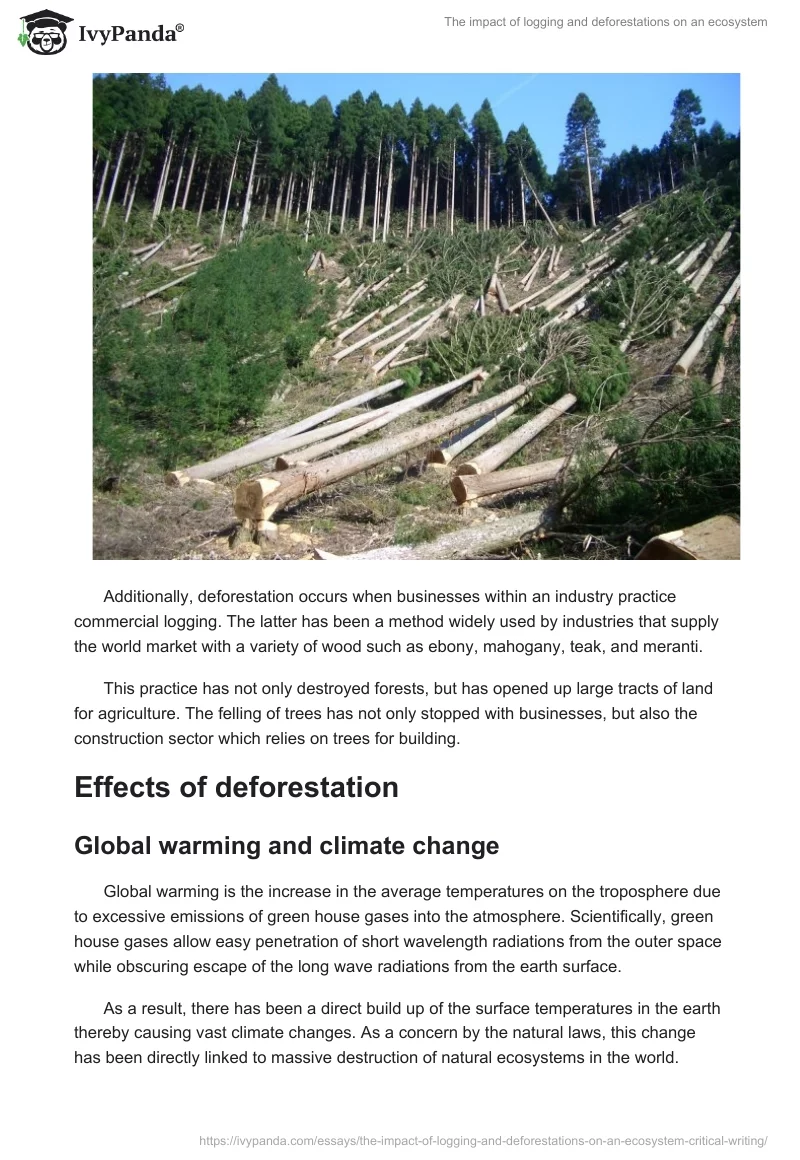 The Impact of Logging and Deforestations on an Ecosystem. Page 5
