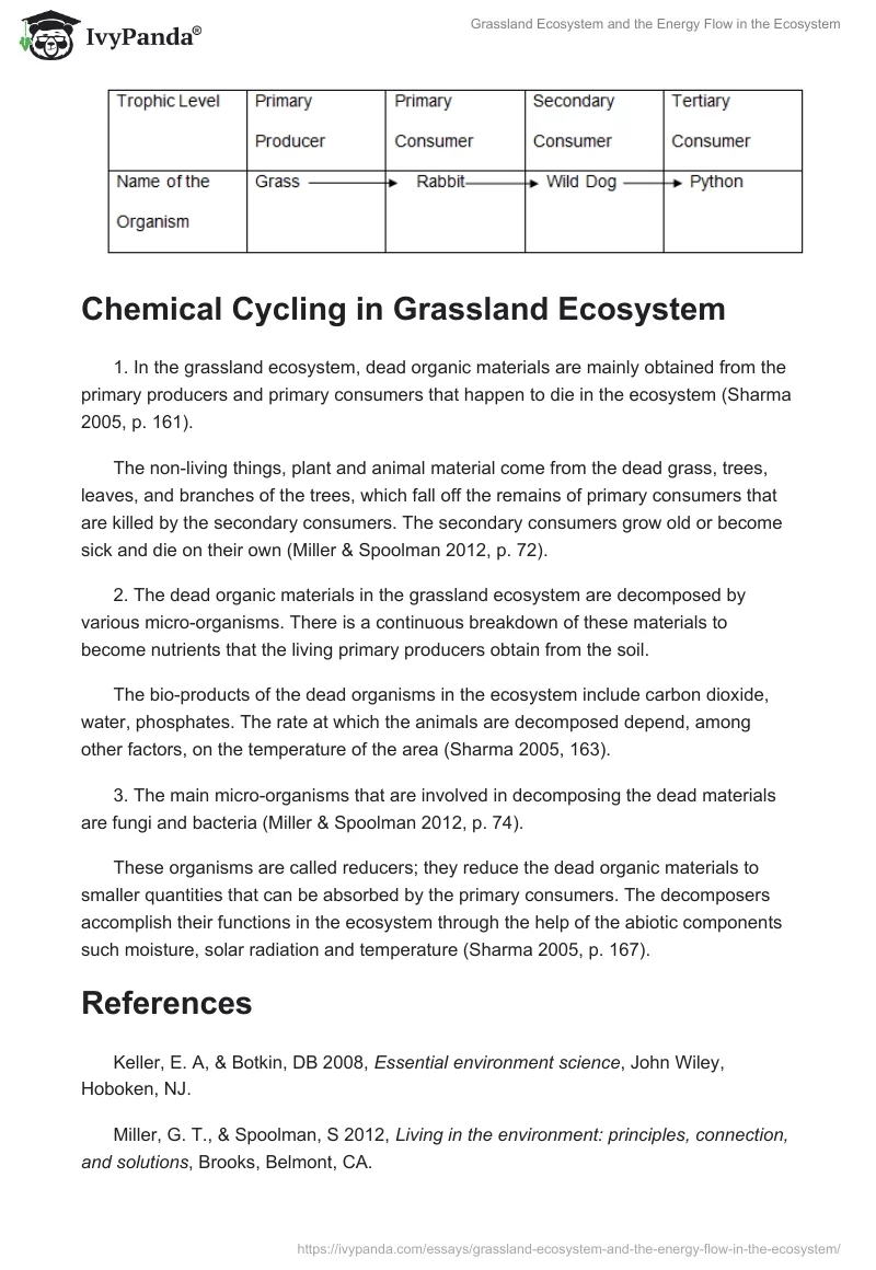 Grassland Ecosystem and the Energy Flow in the Ecosystem. Page 2