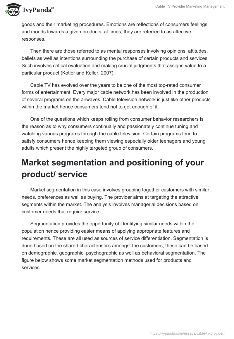 Cable TV Provider Marketing Management. Page 3