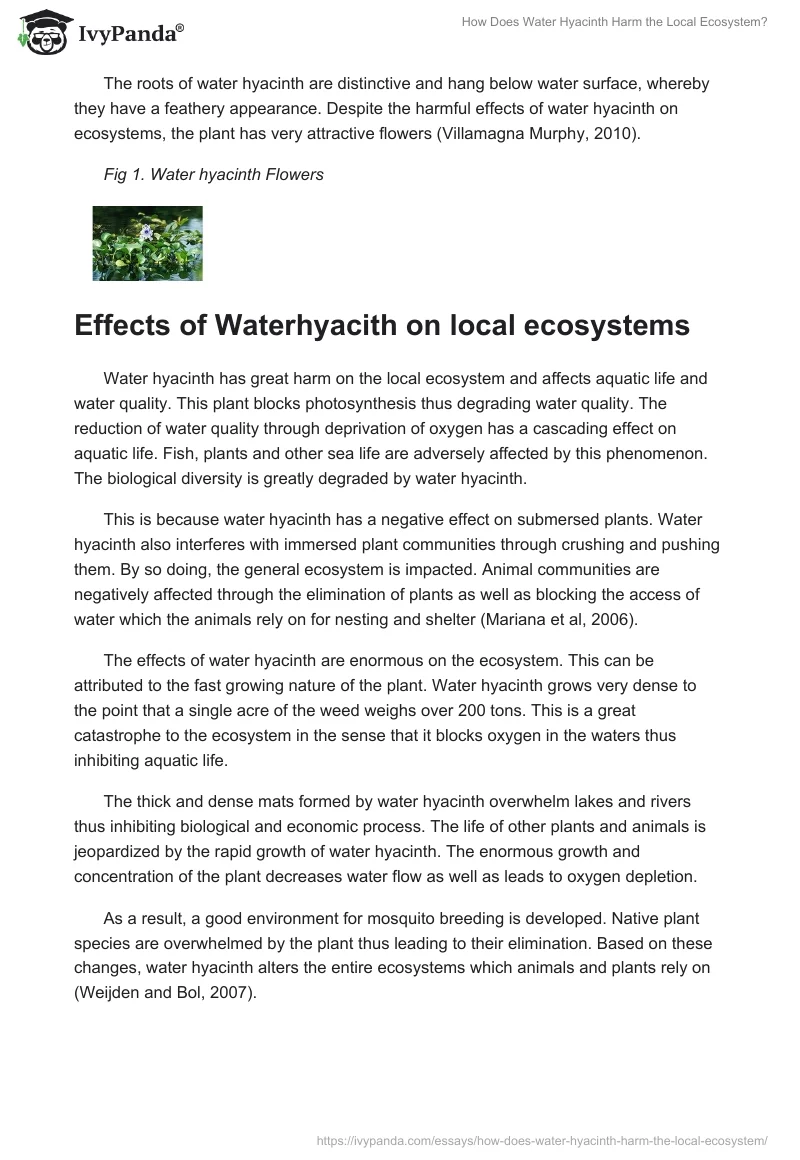 How Does Water Hyacinth Harm the Local Ecosystem?. Page 2