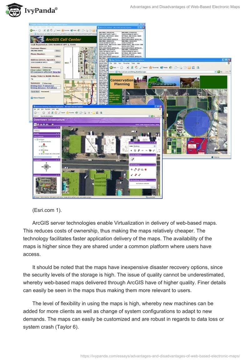 Advantages and Disadvantages of Web-Based Electronic Maps. Page 2