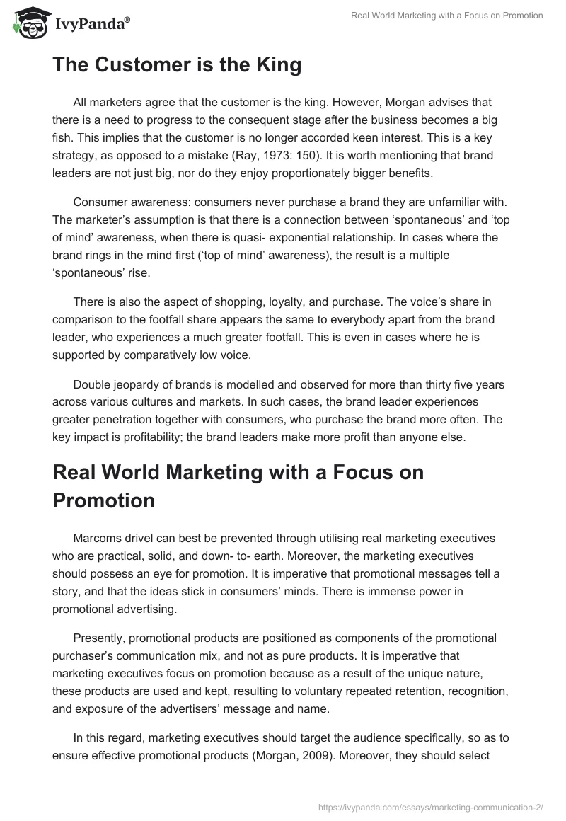 Real World Marketing with a Focus on Promotion. Page 3